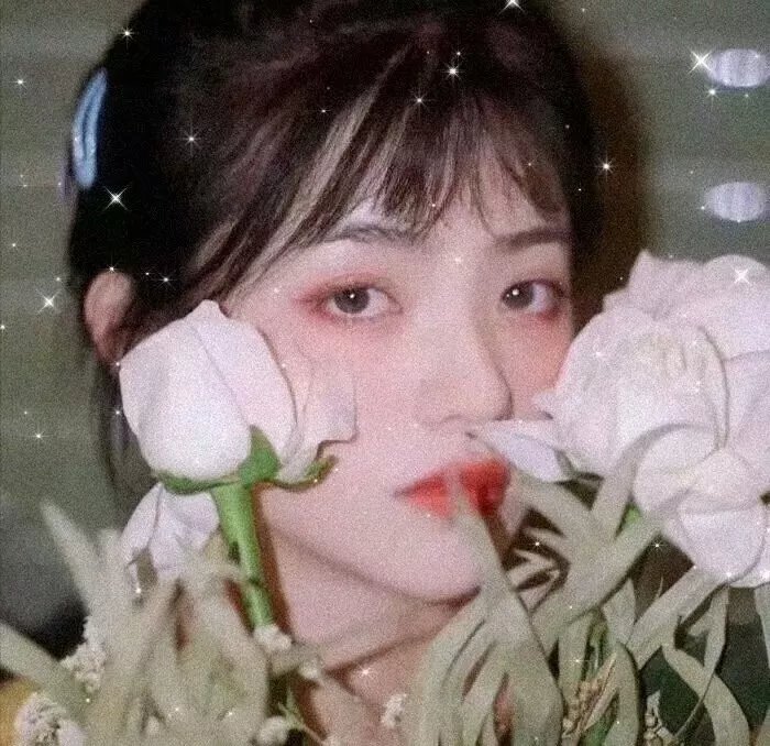 台风圈里的女人