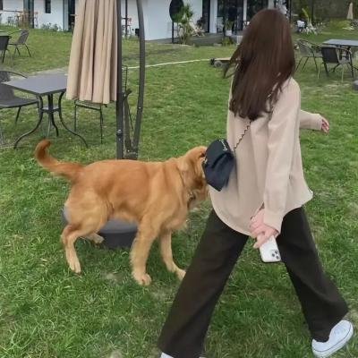柏林夜总会：纳粹眼中钉